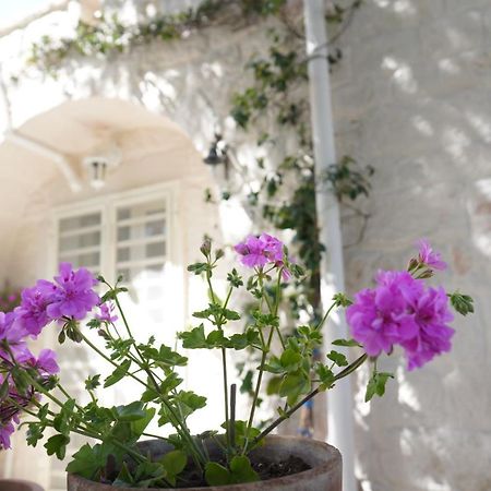 Trulli Di Puglia - Casa Vacanze In Valle D'Itria مارتينا فرانكا المظهر الخارجي الصورة