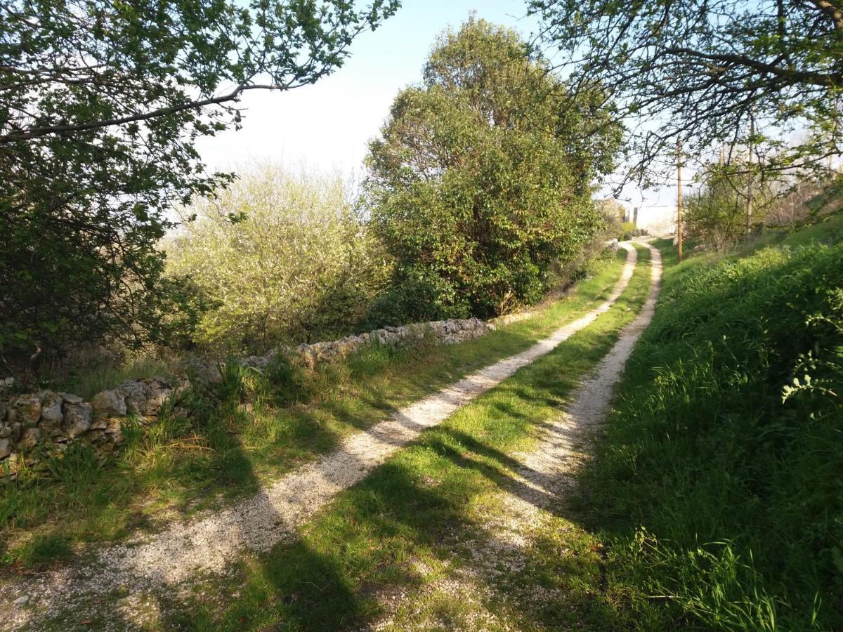 Trulli Di Puglia - Casa Vacanze In Valle D'Itria مارتينا فرانكا المظهر الخارجي الصورة