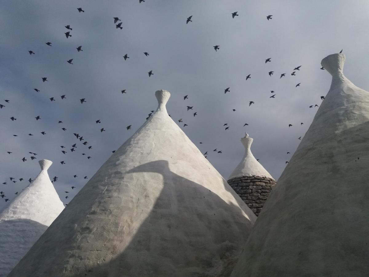 Trulli Di Puglia - Casa Vacanze In Valle D'Itria مارتينا فرانكا المظهر الخارجي الصورة