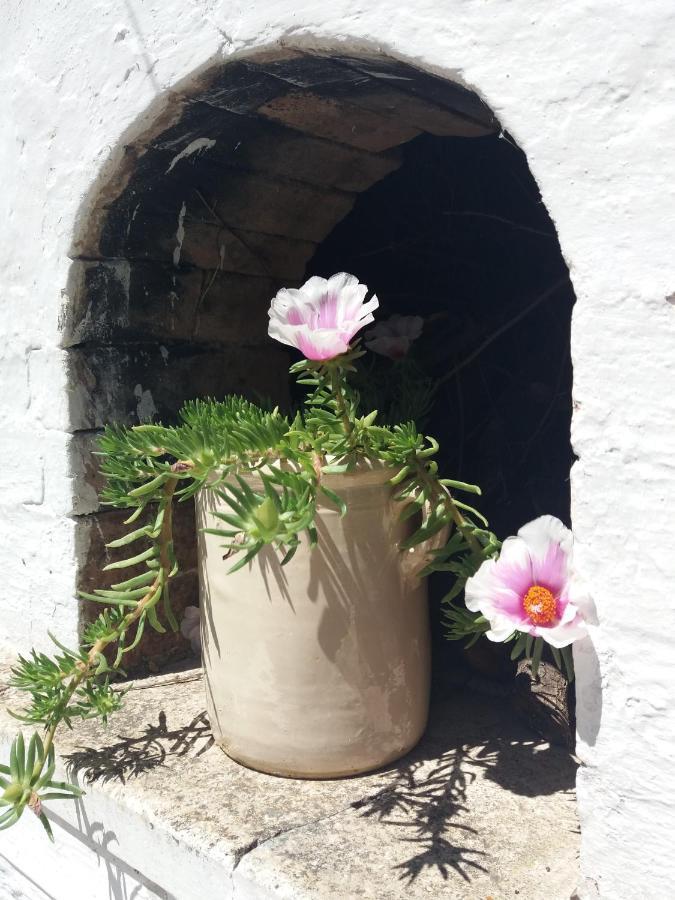 Trulli Di Puglia - Casa Vacanze In Valle D'Itria مارتينا فرانكا المظهر الخارجي الصورة
