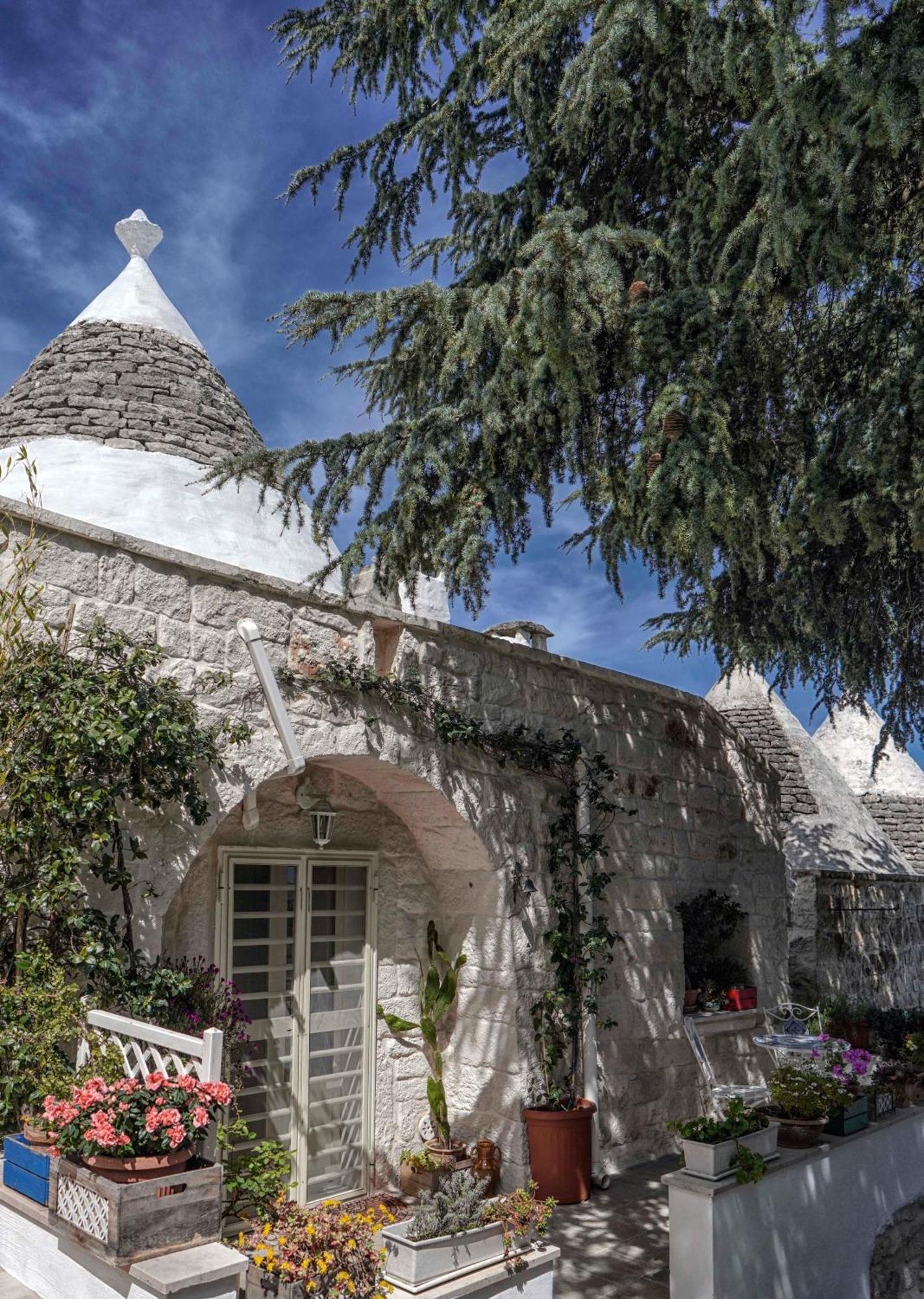Trulli Di Puglia - Casa Vacanze In Valle D'Itria مارتينا فرانكا المظهر الخارجي الصورة